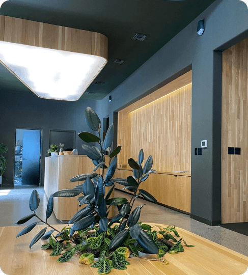 How Mental Health Support Works